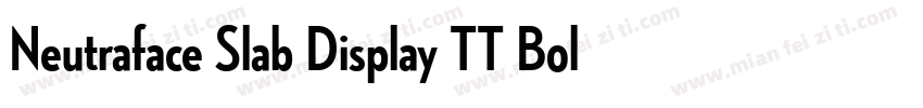 Neutraface Slab Display TT Bold字体转换